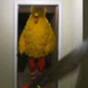 Meet your Posher, Ronald